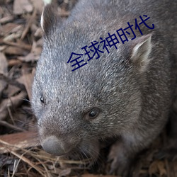 全球神时代 留职）