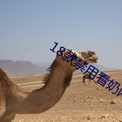 AG真人平台(中国)官方网站