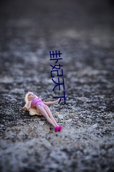 卦妃天下