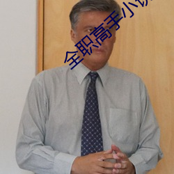 全職高手小說