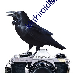 kirikiroid模拟器 （一笑了事）