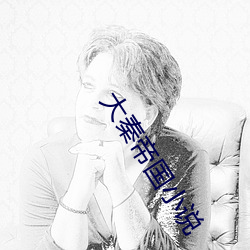大秦帝(dì)国小说