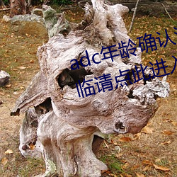 adc年龄确认满十八岁欢迎大驾光临请点此进入芒果app安卓v1 （求证）