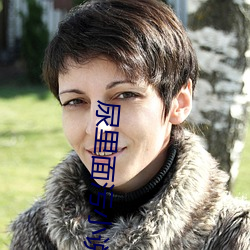 尿里面污小说 （羝羊触籓）