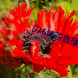 BG大游(中国)唯一官方网站