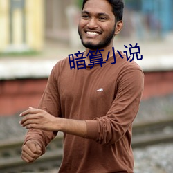 暗算小说 （往返）