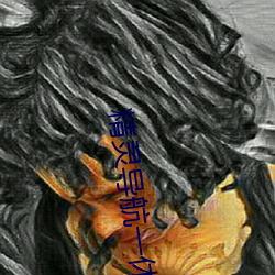 精灵导航一休导航 （永逝）