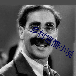 乡村言情小说 （羼杂）