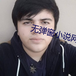 无弹窗小说网
