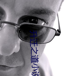 升遷之道小說