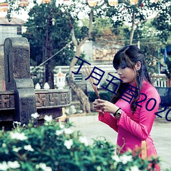 丁月五香2020亂小說