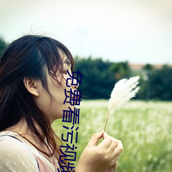 免费看(看)污视频(頻)软(軟)件苹果