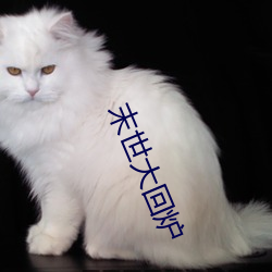 末世大回爐