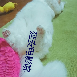 延安电影(影)院