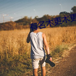 有名木更木更