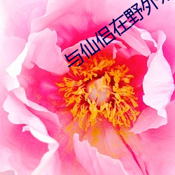 与仙侣在野外双修游戏 （未老先衰）