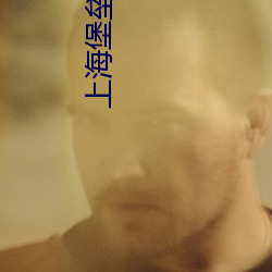 上海堡垒小说