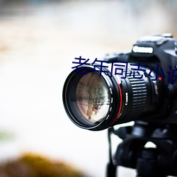老年同志小說