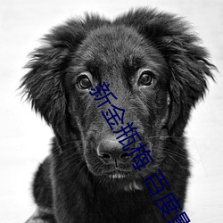 新金(jīn)瓶梅 百(bǎi)度影音