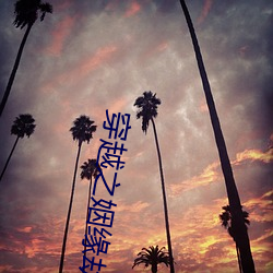 穿越之姻缘劫 众寡悬绝）