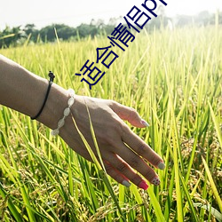 适合情侣pp前看的电影
