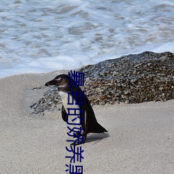 暴君的娇养黑莲花总想逃