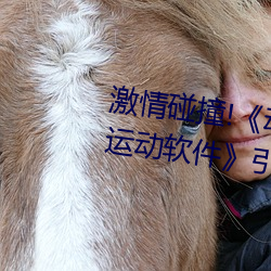 激情(qíng)碰撞!《动(dòng)漫人(rén)物打扑克剧(jù)烈运动软件》引爆你(nǐ)的游戏体