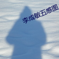 李成敏五感图