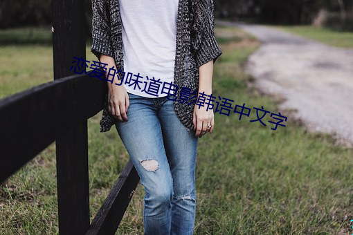 恋(戀)爱的(的)味(味)道电(電)影韩语中文(文)字