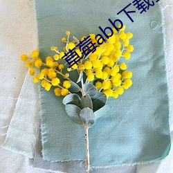 草(草)莓abb下(下)载蜜