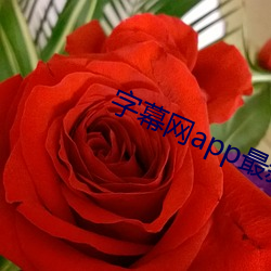 字幕网app最新入口 （黄澄澄）