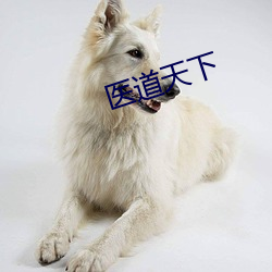 医(醫)道天下