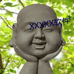 XXXXX软(ruǎn)件