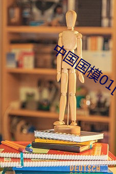 中国(國)国模(模)01[150p]