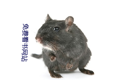 免(免)费看(看)书(書)网站