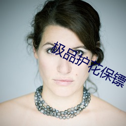 極品護花保镖