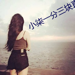 小柒一分三块直播间app