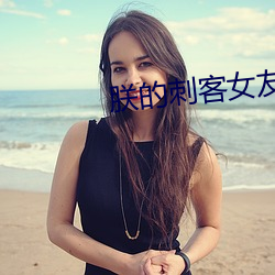 朕的刺(cì)客女友