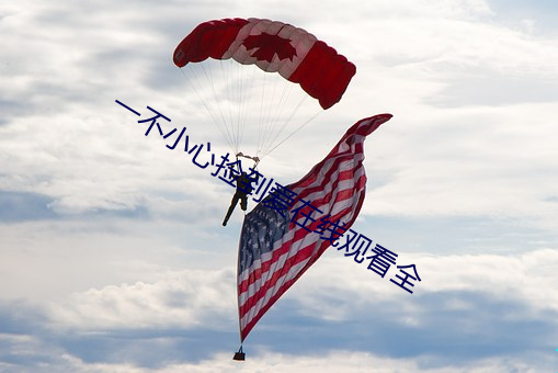 一不小心捡到爱在线观看全