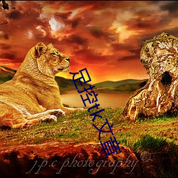 足控tk文章