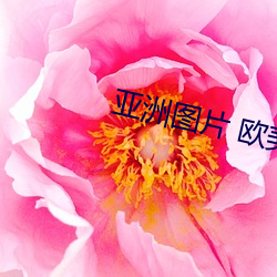 亚洲(洲)图片 欧(歐)美(美)
