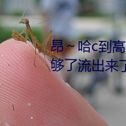 鸿运国际·(中国)会员登录入口
