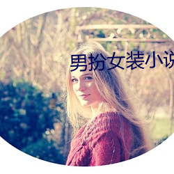 男扮女装小说