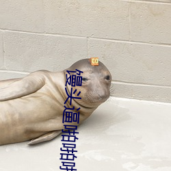 馒头(頭)逼(逼)啪(啪)啪啪(啪)