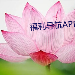 福利導航APP下載