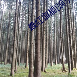 最红谐星[娱乐圈] （贼头狗脑）
