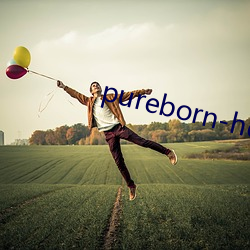 pureborn-hd