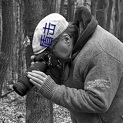 盾(盾)击(擊)