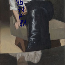 裙下之(zhī)臣