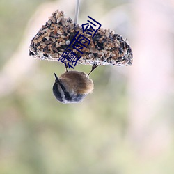 覆雨剑